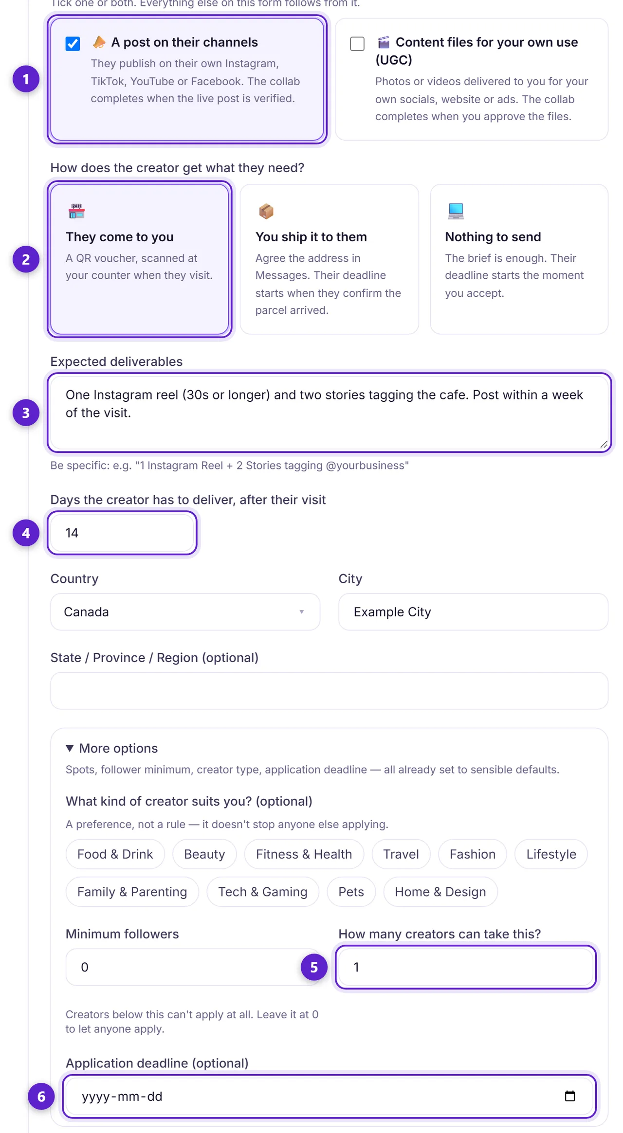 The lower half of the offer form: the two deliverable boxes, the visit mode, deliverables, days to deliver, number of spots and application deadline, each circled and numbered.