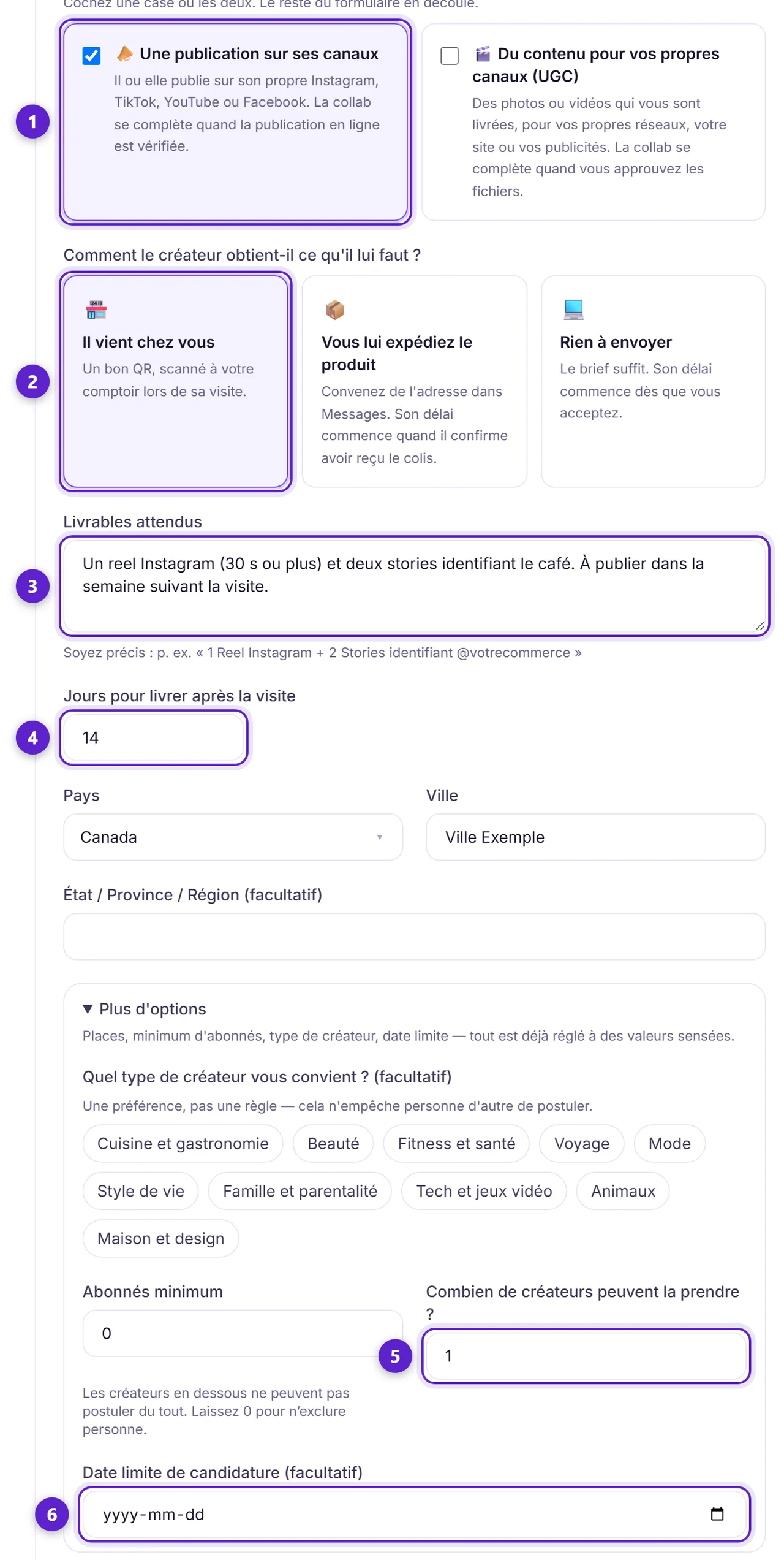 La moitié basse du formulaire d'offre : les deux cases de livrables, le mode de visite, les livrables, le délai de livraison, le nombre de places et la date limite de candidature, entourés et numérotés.
